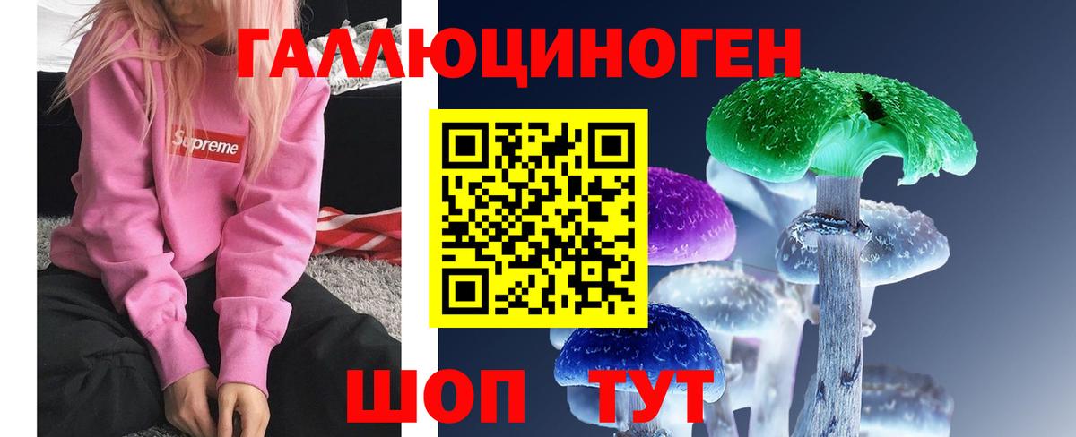 Псилоцибиновые грибы мицелий  Псилоцибиновые грибы прущие грибы  Вход с VPN  Гусев 